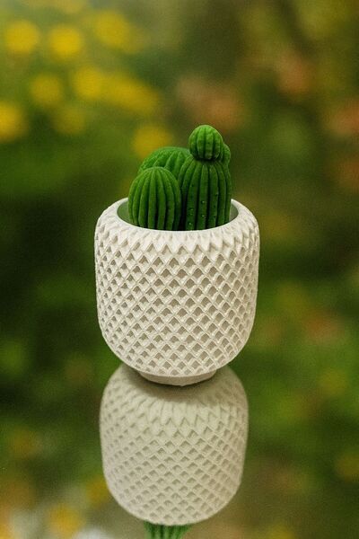 CalmaFlame Dekoratif Kaktüs El Yapımı Soya Mum – Romantik Hediye, Sevgililer ...