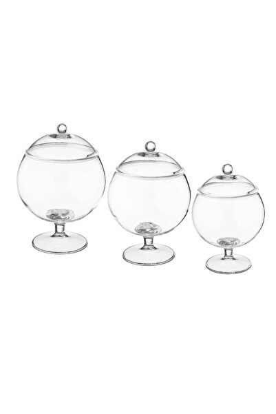 ABAREEK Versatile dessert serving bowl set with lid and base, attractive design (3 pieces), clear/gold