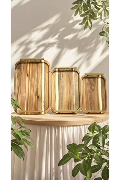 Generic A versatile serving tray set with a perfect design