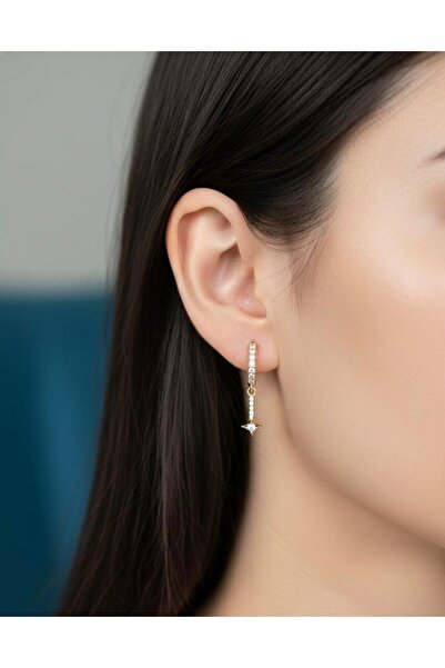 Stilbenim Steel Stone Earrings