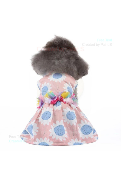 fara marca Rochie căței