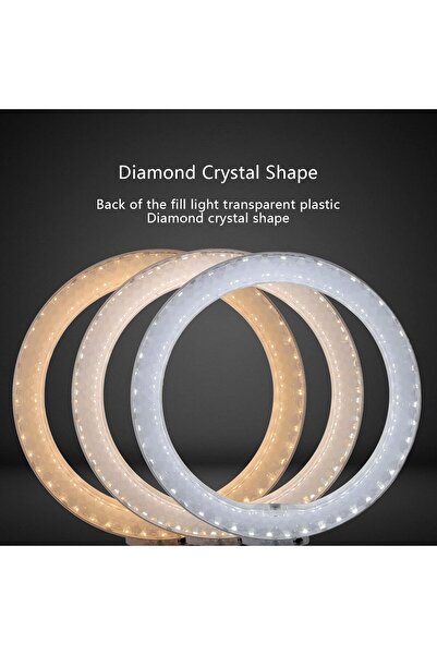 Zen Store حلقة إضاءة سيلفي مقاس 10 بوصات مع حامل ثلاثي القوائم وحامل هاتف (RGB)