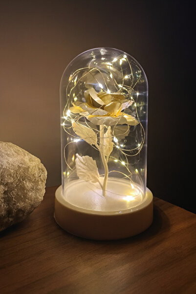 etxShop Fanus İçinde Dekoratif Sarı Peri Led Işıklı Solmayan Beyaz Sonsuzluk ...