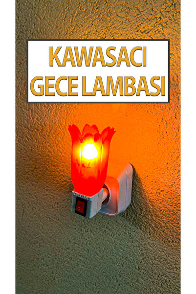 Kawasacı Nostaljik Gece Lambası Kendinden Fişli Çıt Çıt Anahtarlı 7 Watt Ampullü Çiçek Model