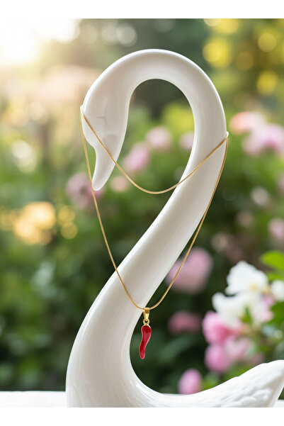 ARH VERKAUF Altın Renk İnce Zincirli Kırmızı Nazar Biberi Kolye – Çelik, Şık ...