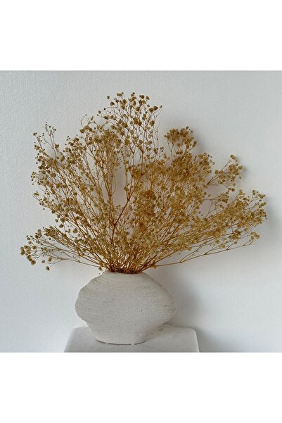 MirageBotanics Dried Gypsophila Arrangement in Modern Textured Ceramic Vase – Minimalist Home & Office Decor