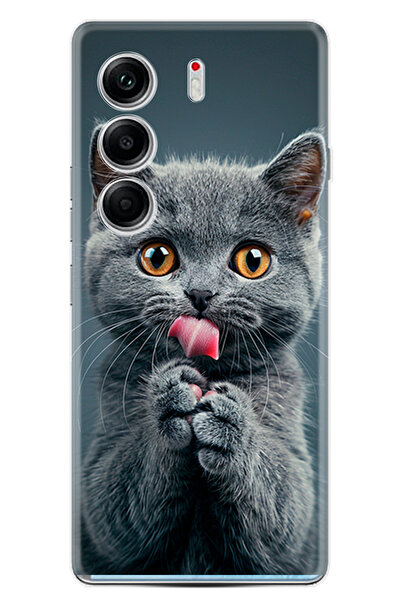 TECNO Camon 40 Pro Kılıf Boutique Baskılı Resimli Komik Kedi Pcode -008