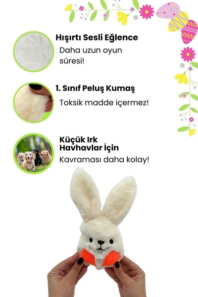 Havhav Dog Toy White Rabbit & Thin Carrot Plush Dog Toy Set of 2
