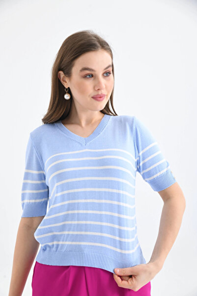 Park Karon Women's V-Neck Striped Short Sleeve Knitwear Sweater
