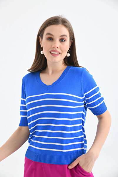 Park Karon Women's V-Neck Striped Short Sleeve Knitwear Sweater