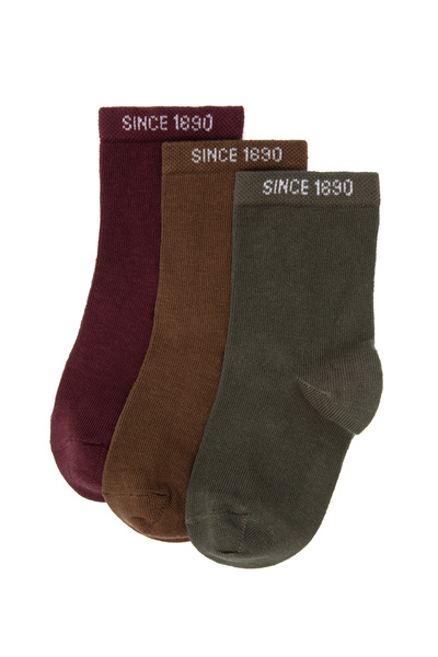 U.S. Polo Assn. Boy's Burgundy Socks 50318041-Vr177