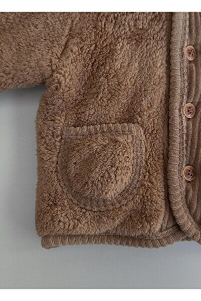 kitikate Tomy Mont Brown