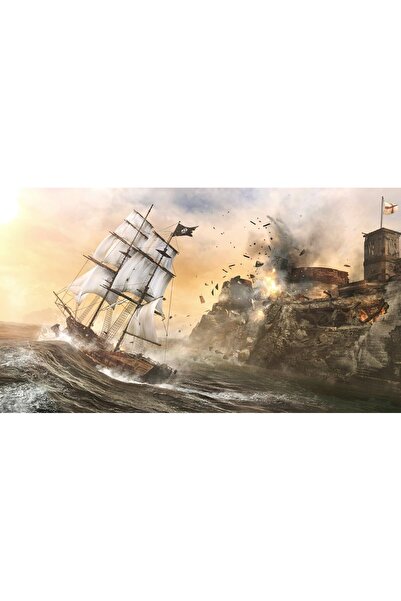 Ubisoft Assassin's Creed IV: Black Flag (PS4)