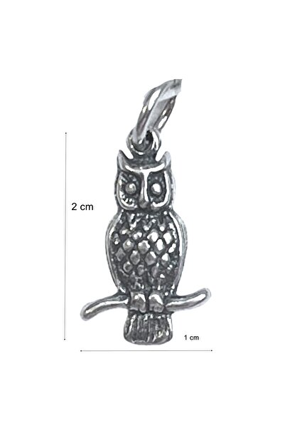 Jolie Silver Pandantiv, Argint Jolie, Argint 925, Bufniță pe Creangă, 1.4 g, 2 x 1 cm