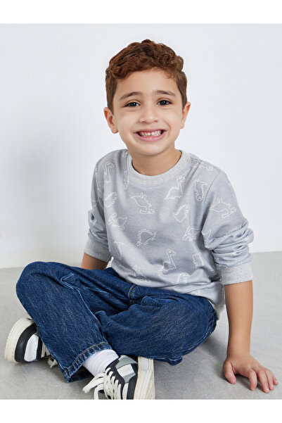Styli Dino Print Long Sleeve Sweatshirt