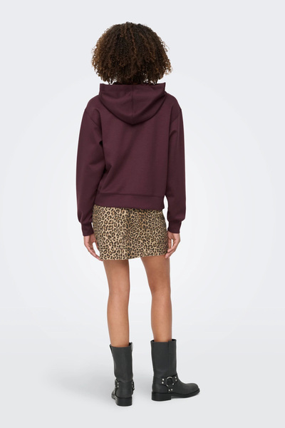 ONLY Φούτερ με κουκούλα Onlalina Regular Fit SWEAT 15364546