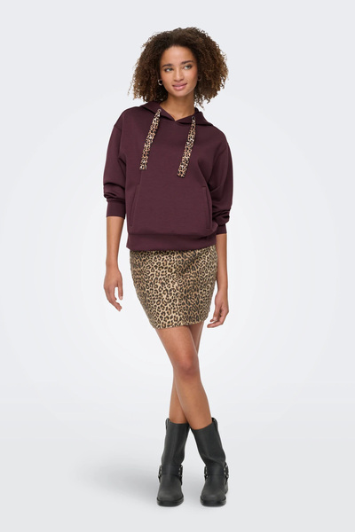 ONLY Φούτερ με κουκούλα Onlalina Regular Fit SWEAT 15364546