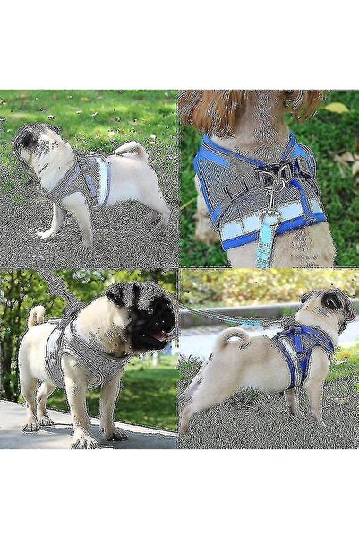 OEM Benobby kids Cat Harness, Cat Harness Escape Proof XL Gray