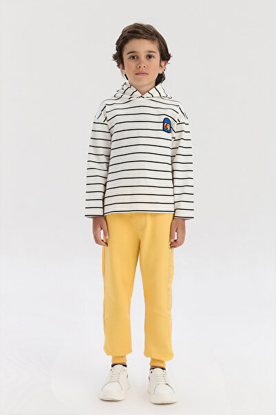 Nebbati Boys Striped Sweatshirt