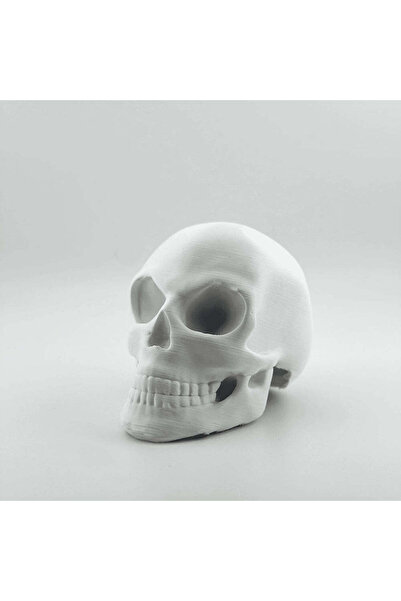 3DMarket Anti-theft Tow Hitch Ornament - Skull V3