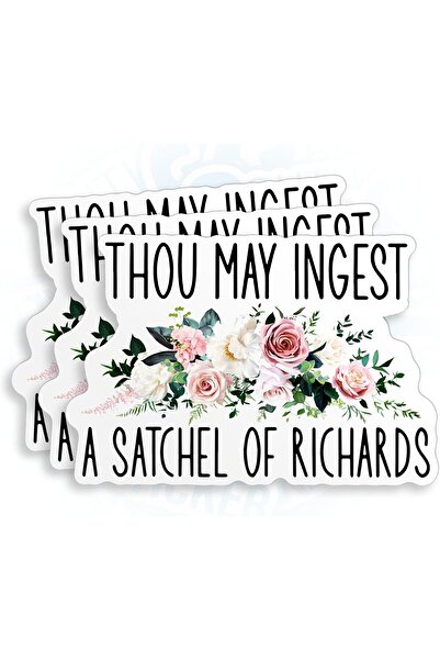ALAYRA International (3 قطع) ملصقات فينيل "يمكنك تناول حقيبة ريتشاردز" مقاس 2...