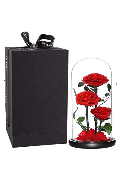 Carmel Flowers 3 Red ForEver Rose in One Dome