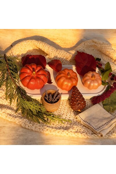 Axnur Dekoratif Sunum Tepsili Bal Kabağı Biblo Seti