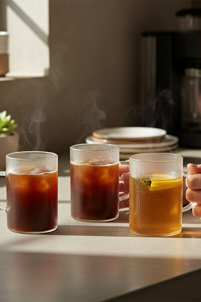 Home Molterra 3-Piece Striped Handle Heat-Resistant Borosilicate Glass Coffee Tea Cup 200 ml