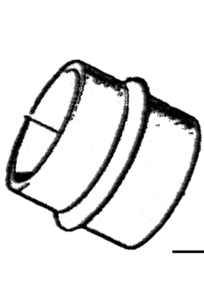 OSCULATI Burdufuri și manșoane de cuplare pentru transmisie Volvo (diverse referințe originale)