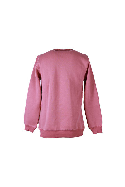 trender 0 Yaka 3 İp Mercan Men's Sweatshirt State Print