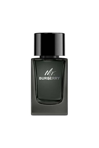 BURBERRY Mr. Burberry Eau de Parfum (100ml, without carton)