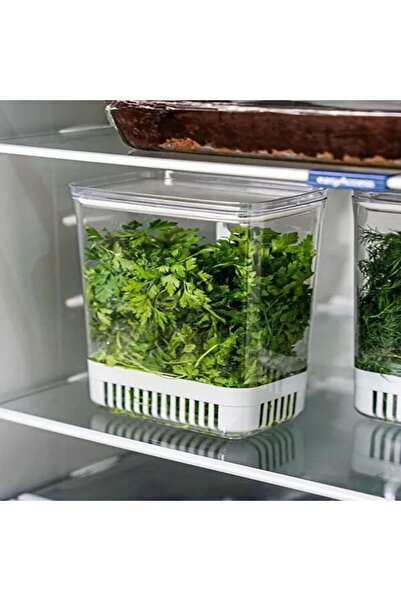 Saint Belisama Concept Greenery Box 1 Piece 2900 ml Greenery Storage Vegetable Storage & Refrigerator Freshness Organizer