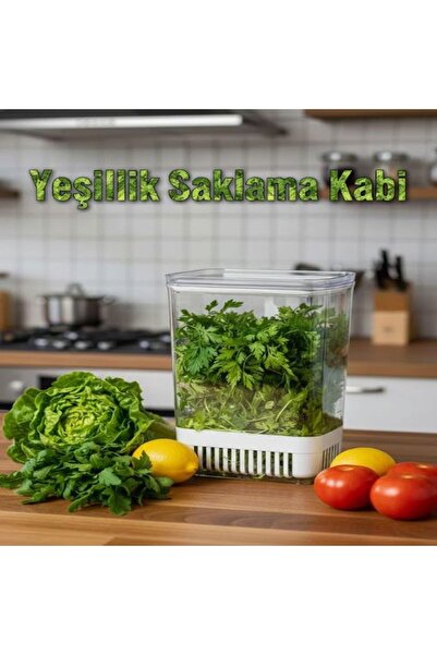 Saint Belisama Concept Greenery Box 1 Piece 2900 ml Greenery Storage Vegetable Storage & Refrigerator Freshness Organizer