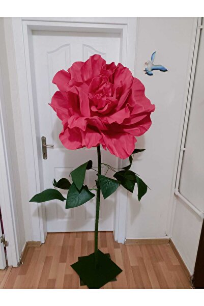 Rose bloome Dev eva yabani gül tasarım kırmızı