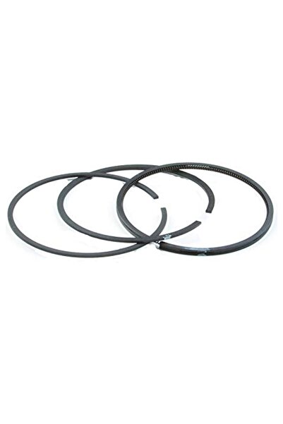 Garden Parts Segmente Briggs&Stratton 699658 diametru 65mm