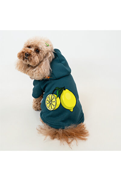 Buddy Store Petrol Green Cat and Dog Outfit - Clothes Sweatshirt Hoodie (Hooded 100% Cotton)