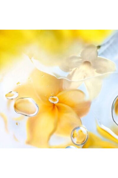 Lancome Lancôme Ô ZENITH – Eau de Toilette 100 ml