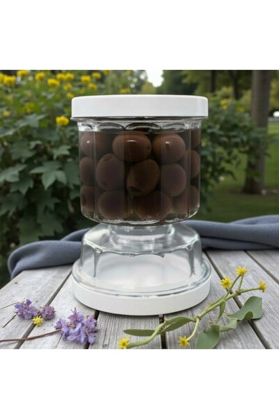 Technow Juicy Olive Storage Container 500 ml