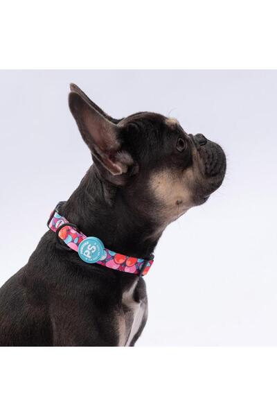 Pawstar Balloons Balon Desenli Köpek Boyun Tasması Ayarlanabilir Köpek Tasmas...