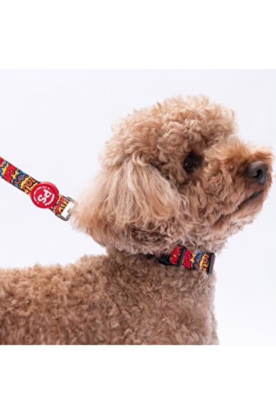 Pawstar Wow Popart Patterned Dog Collar Adjustable Dog Collar Size m (32-48cm Neck Circumference)