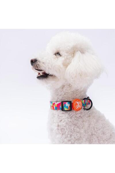 Pawstar Mosaic Mozaik Desenli Köpek Boyun Tasması Ayarlanabilir Köpek Tasması...