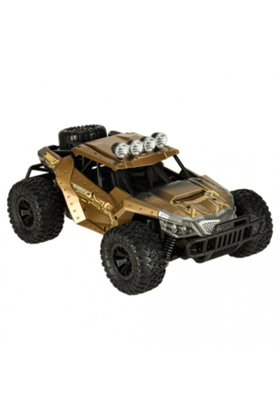 OEM Off-Road Drift Remote Control Car 20 km/h 1:16