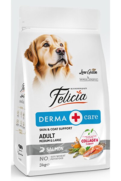 Felicia Kolajen Destekli Hipoalerjenik Somonlu Yetişkin Orta ve Büyük Irk Köp...