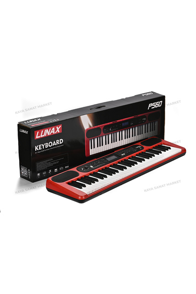 LUNAX PS60 Bk 61 Tuş Hassasiyetli Org Siyah