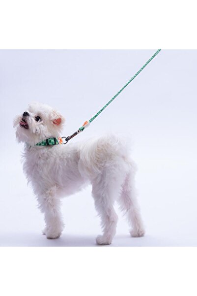 Pawstar Frog Frog Pattern Dog Collar Adjustable Dog Collar