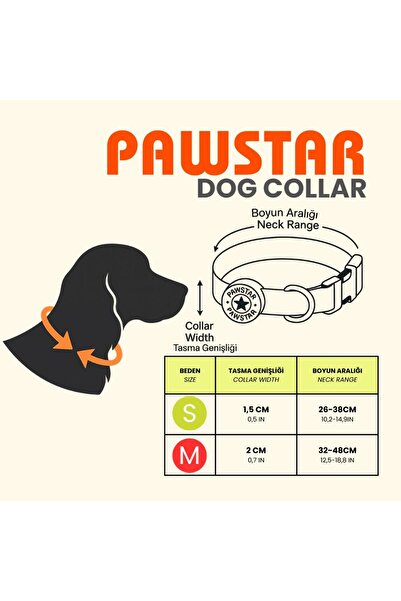 Pawstar Poodle Dog Pattern Dog Collar Adjustable Dog Collar