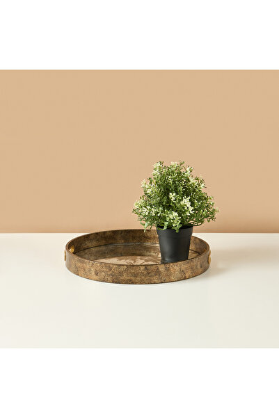 Lifestyle Palm Tree Print Round Decorative Tray - 35x35x4 cms