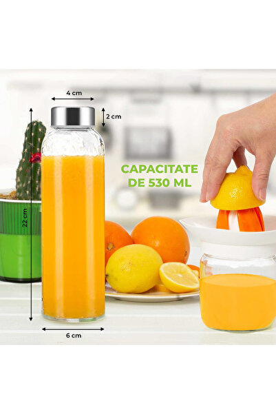 Elindor Set of 6 Elindor® Bottles with Stainless Steel Lids, 100% Leakproof, 22 x 6 cm, 530 ml, Transparent