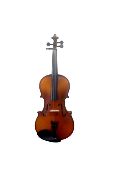 W100 3/4 Keman
