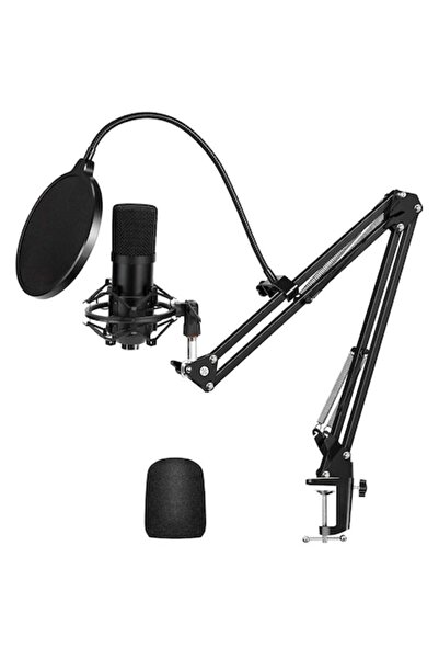 HALOVIE USB Condenser Microphone with Clamp Arm and Pop Filter for PC Recording
